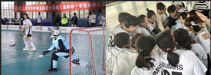 新球体育平台