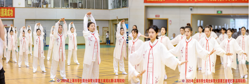 新球体育手机版