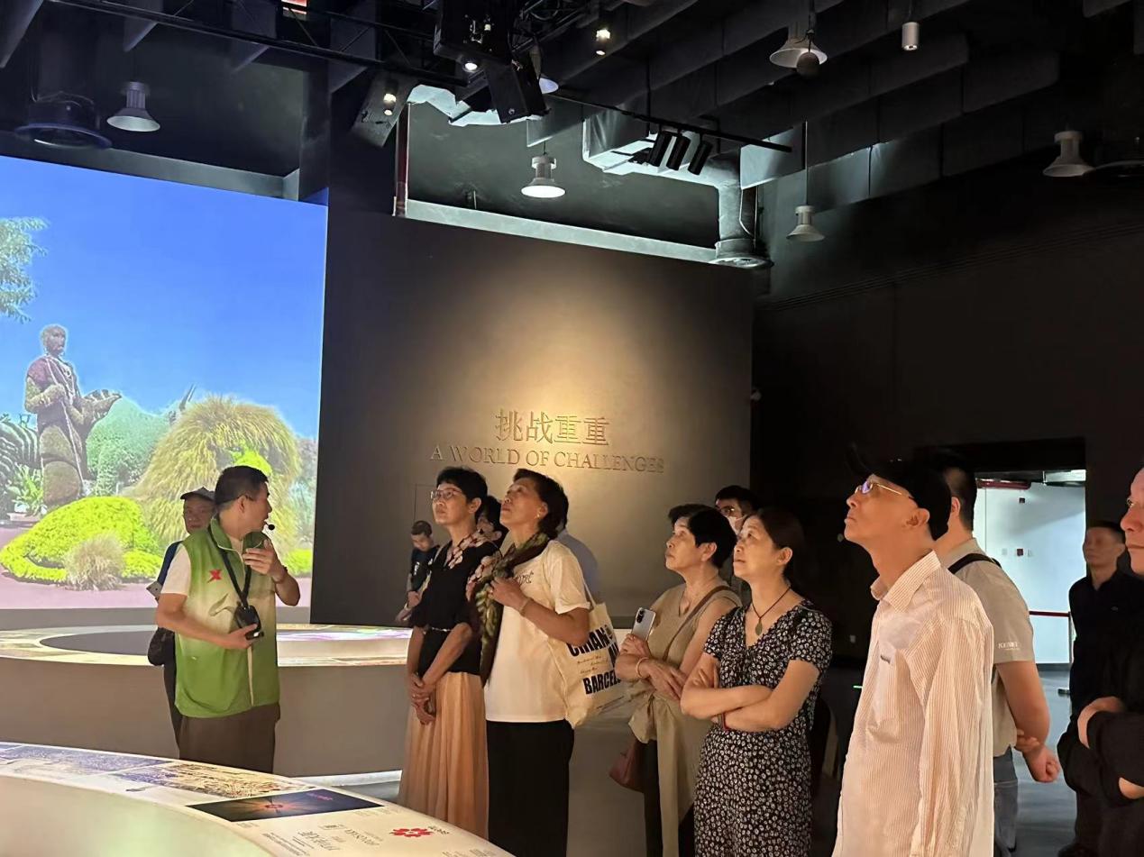 新球体育体育频道