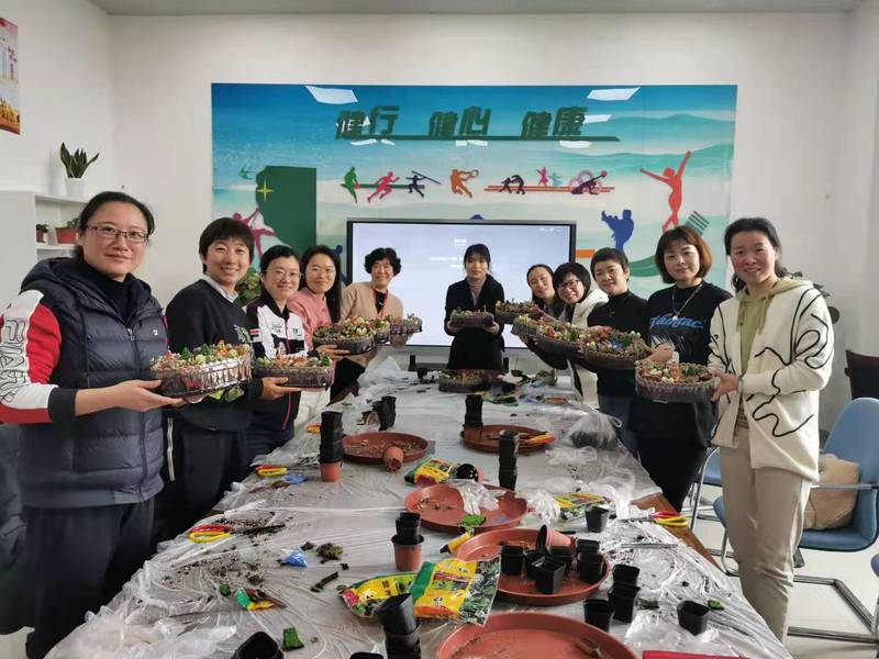 新球体育安全通道