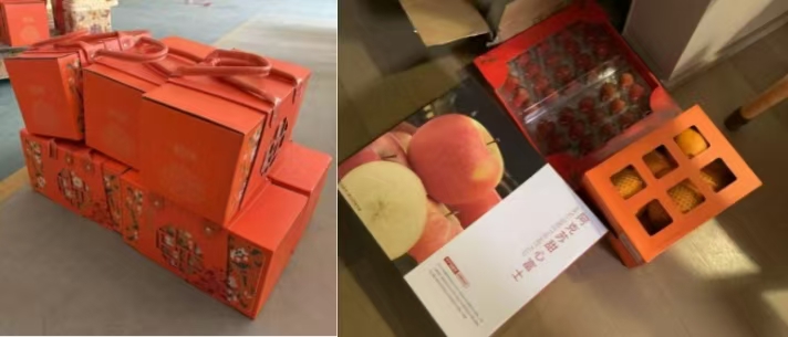 新球体育体育频道图片